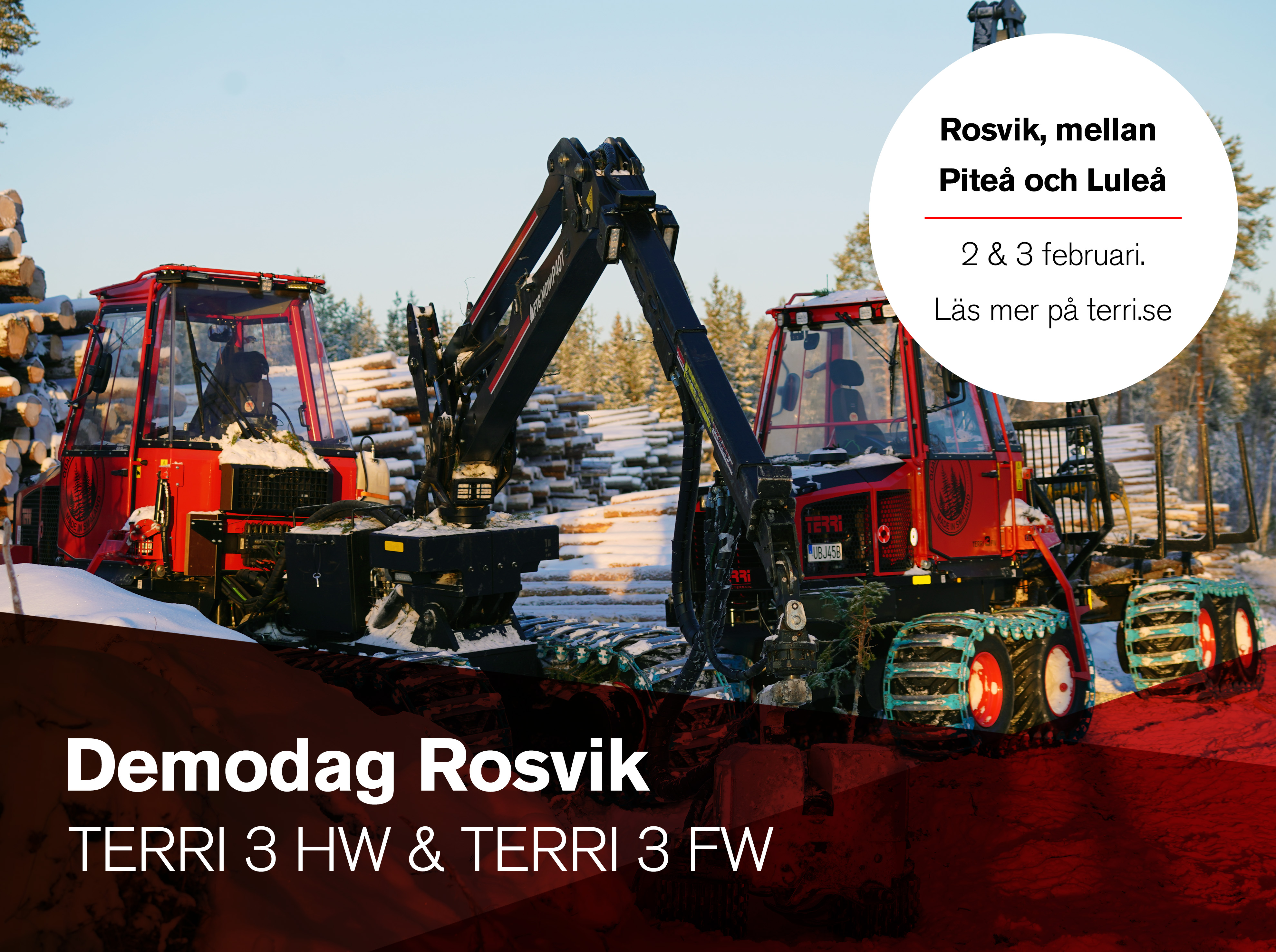 Demodag Rosvik