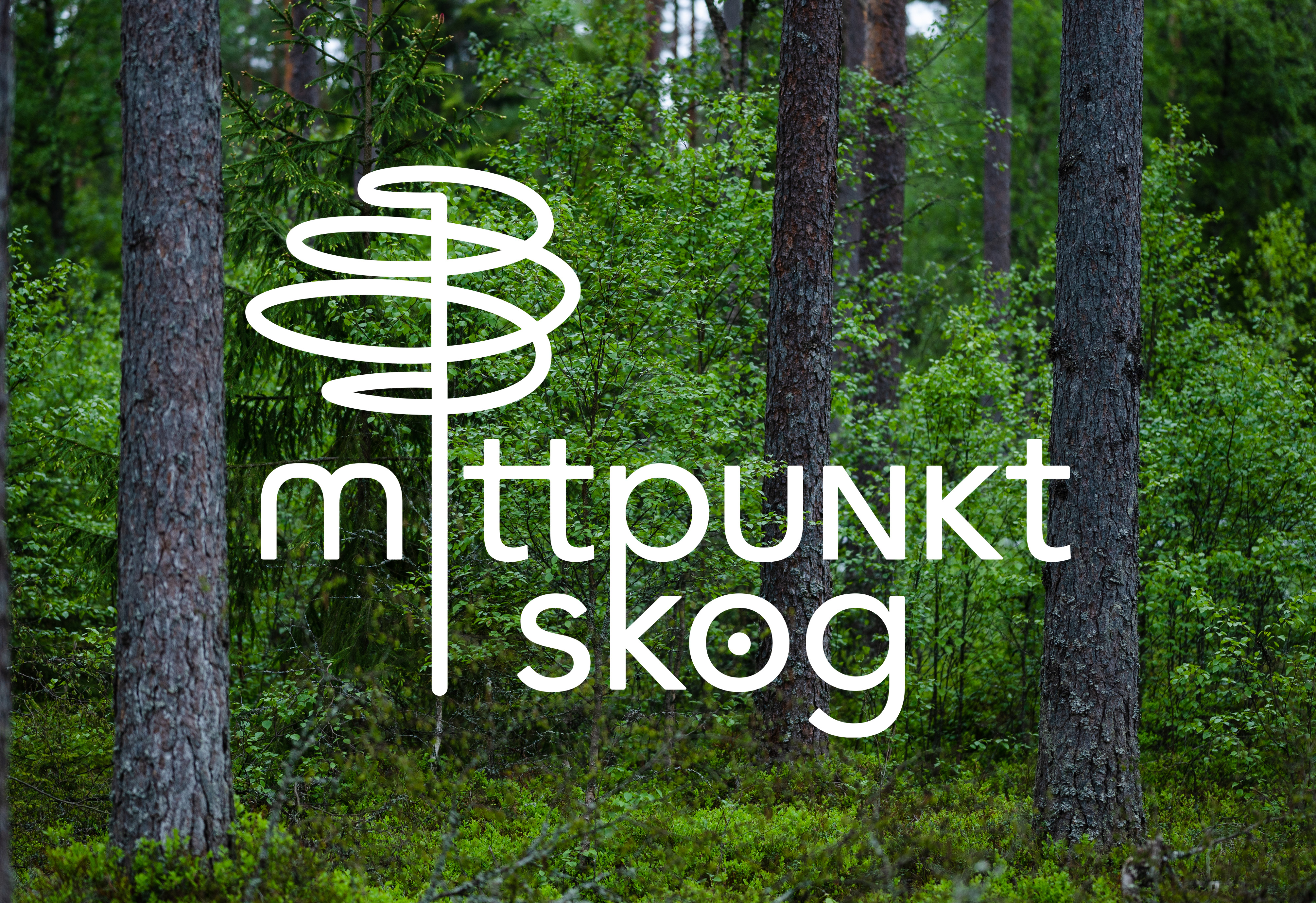 Mittpunkt Skog 17–18 juni, Överkalix